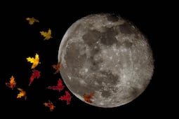 ¿Por qué dicen que las lunas de octubre son las más bonitas? Este es el calendario