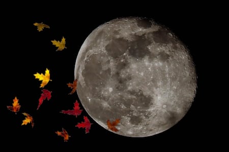 ¿Por qué dicen que las lunas de octubre son las más bonitas? Este es el calendario