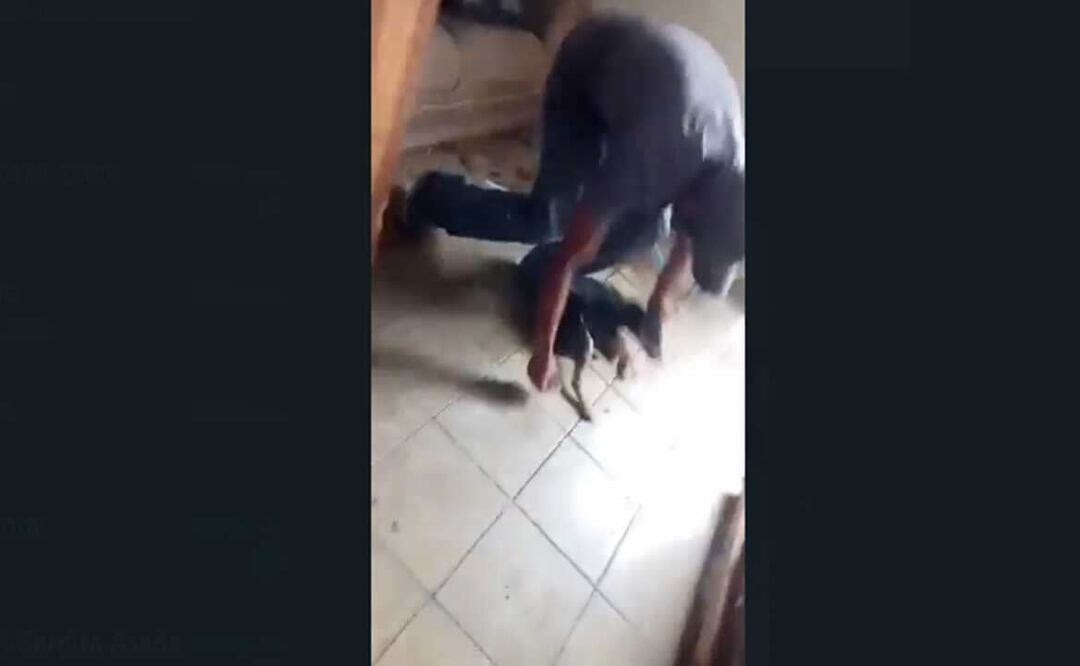 Foto: Captura de pantalla