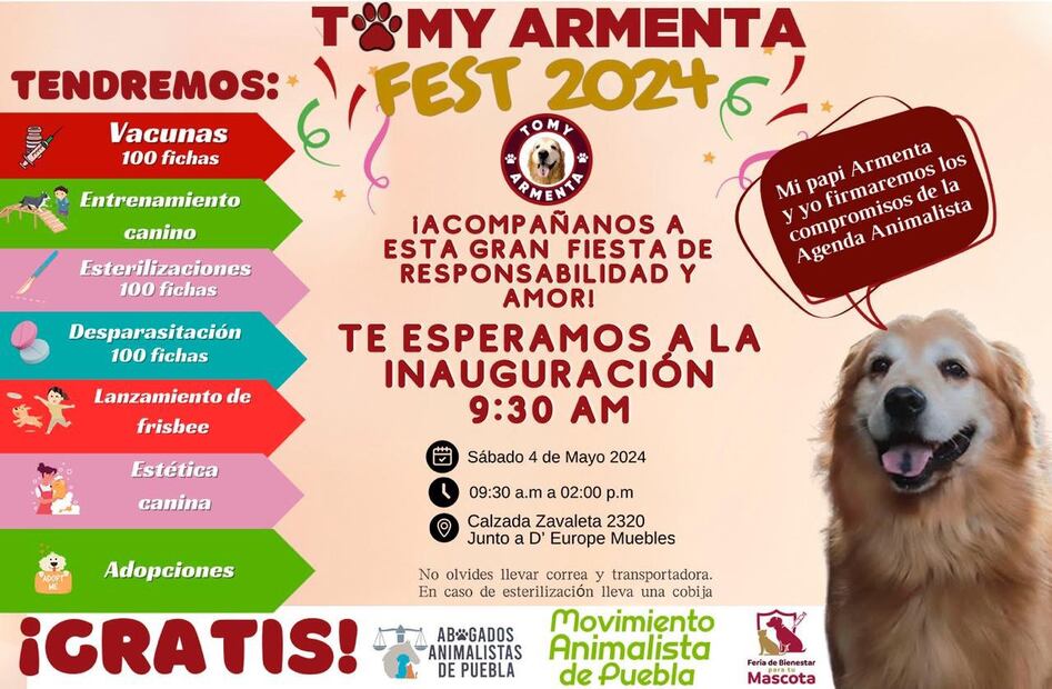 Foto: Alejandro Armenta