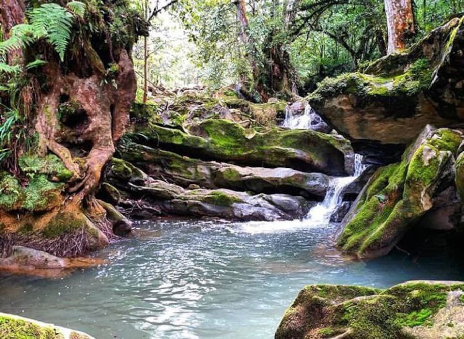 Este sitio captó una de las bellezas naturales de Coyomeapan | Instagram visitath
