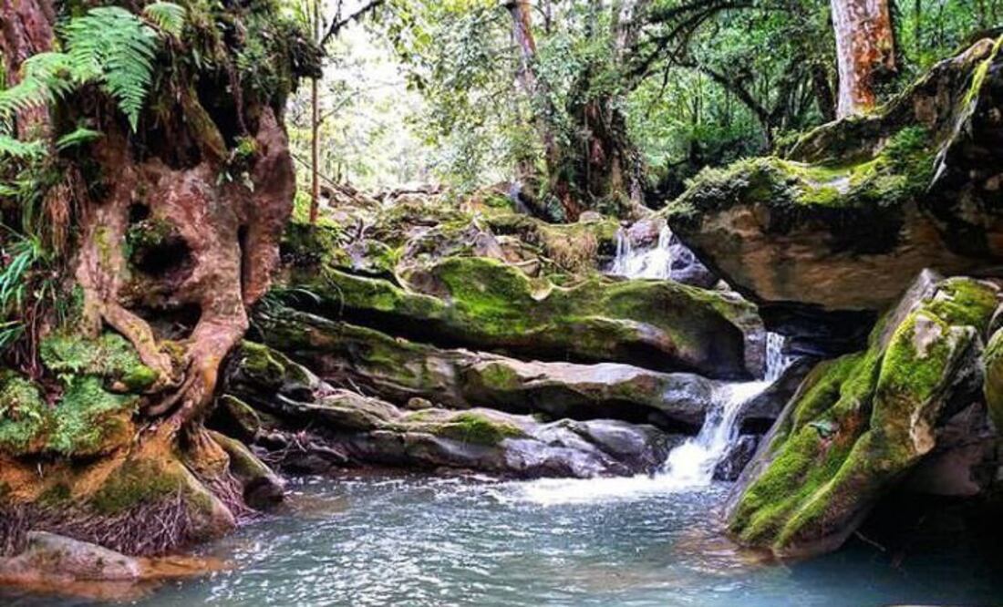 Este sitio captó una de las bellezas naturales de Coyomeapan | Instagram visitath