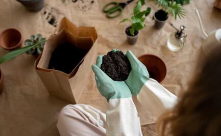 5 ingredientes de tu cocina que puedes reciclar para preparar este potente fertilizante casero