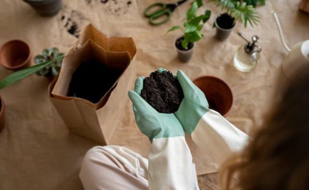 Cuida tus plantas con estos fertilizantes caseros. Fuente: Freepik.