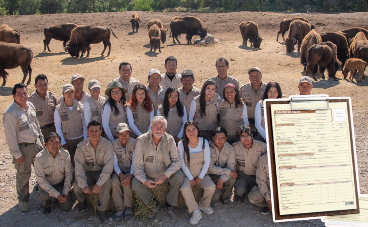 Ya puedes postularte para trabajar en Africam Safari | Foto: Redes sociales Africam Safari