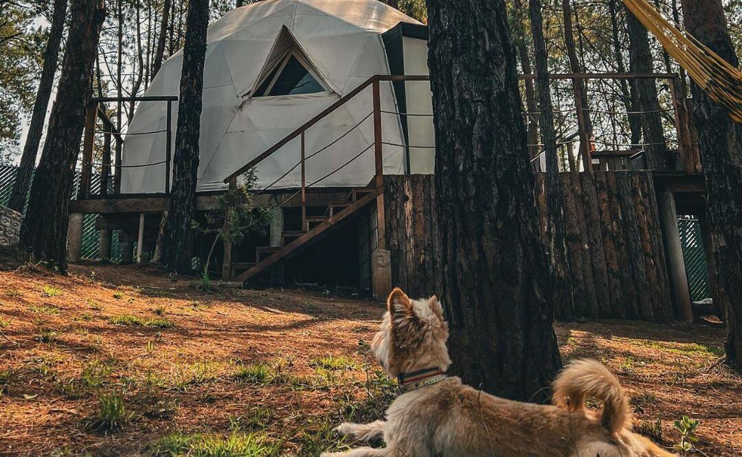 En Puebla hay varias opciones de campings y glampings para pasar un gran rato | Foto: Facebook Ensueño Glamping