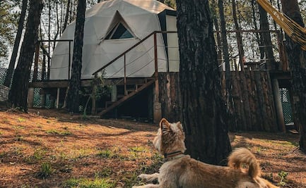 Los mejores campings y glampings para disfrutar en septiembre en Puebla
