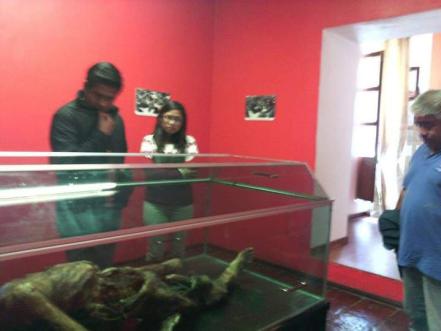 Conoce la ciudad de los mamuts y los dinosaurios en Puebla 