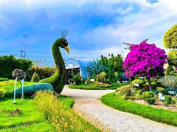 En este jardín de Puebla te sentirás como Alicia en el país de las maravillas