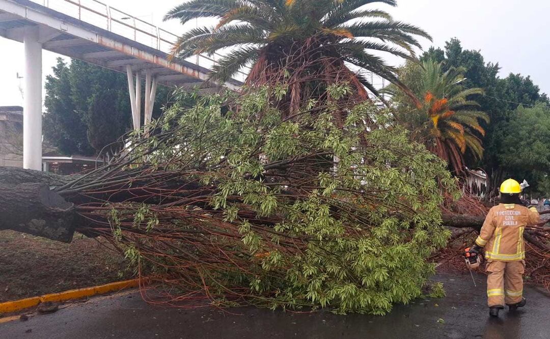 Foto: Agencia Es Imagen para El Universal Puebla