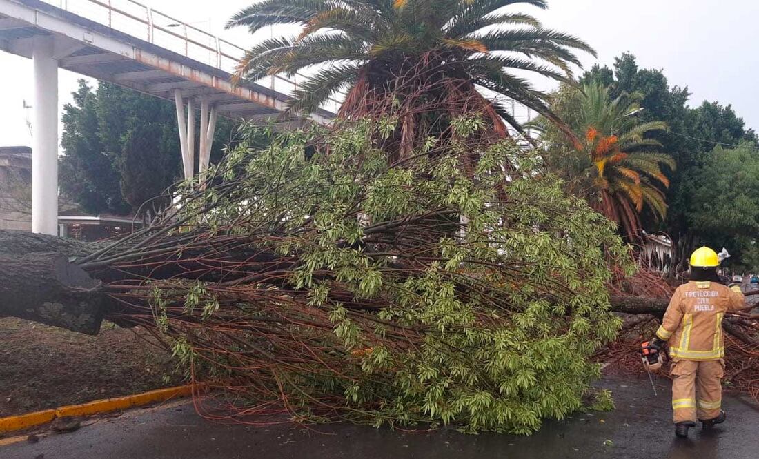 Foto: Agencia Es Imagen para El Universal Puebla
