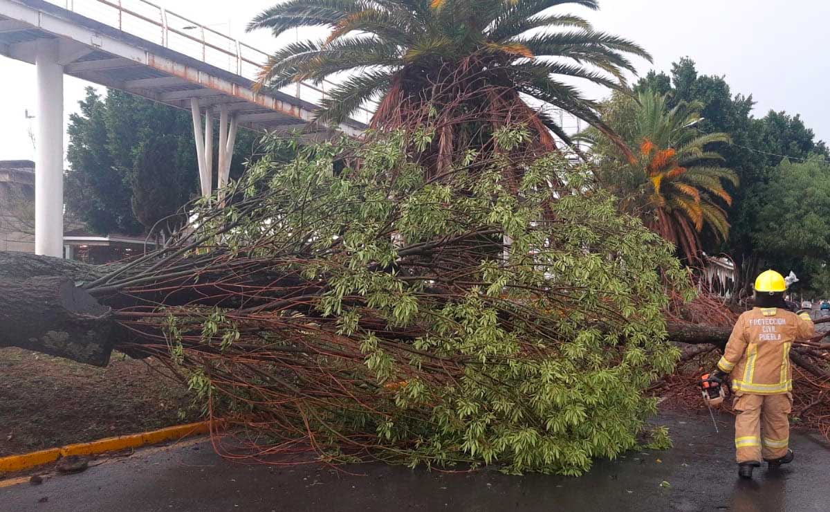 Vehículos atorados, árboles caídos y fuertes inundaciones deja tormenta en Puebla