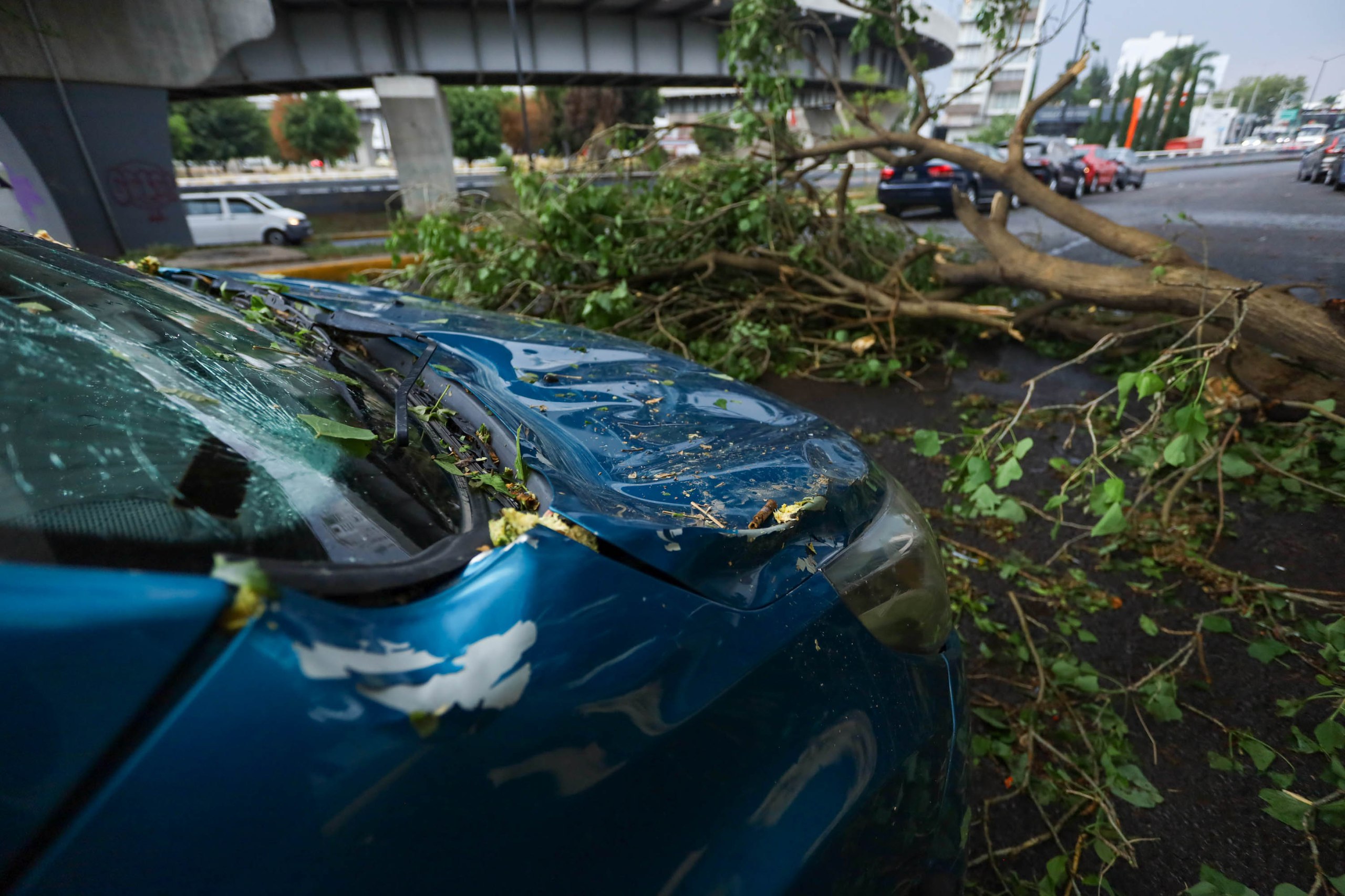 La caída de árboles y las inundaciones fueron los reportes más frecuentes | Foto: EsImagen