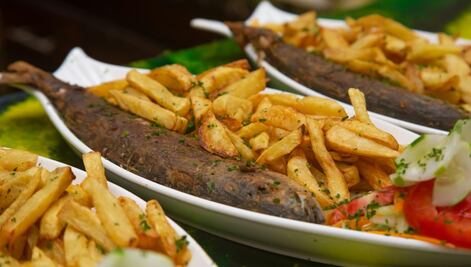 ¿Qué tan bueno es comer pescado todos los días?