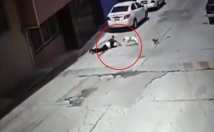 Cámaras de seguridad captan ataque de un pitbull contra adulta mayor