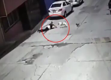 Cámaras de seguridad captan ataque de un pitbull contra adulta mayor