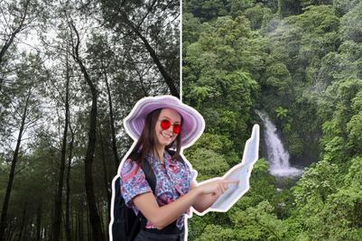 Conoce el bosque con niebla más fresco de Puebla para disfrutar del clima