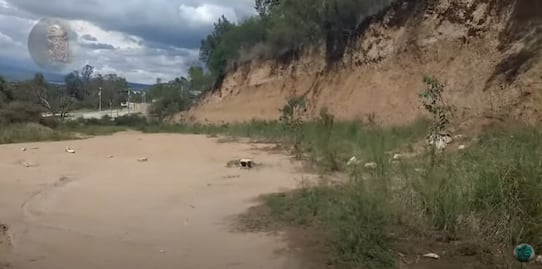 ¿Hay una zona arqueológica en Flor del Bosque?