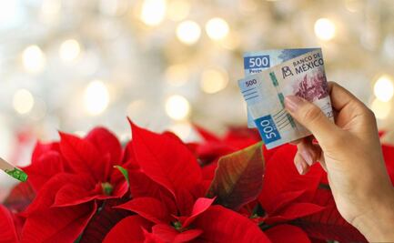 Lugares ideales para colocar la Nochebuena y atraer la abundancia