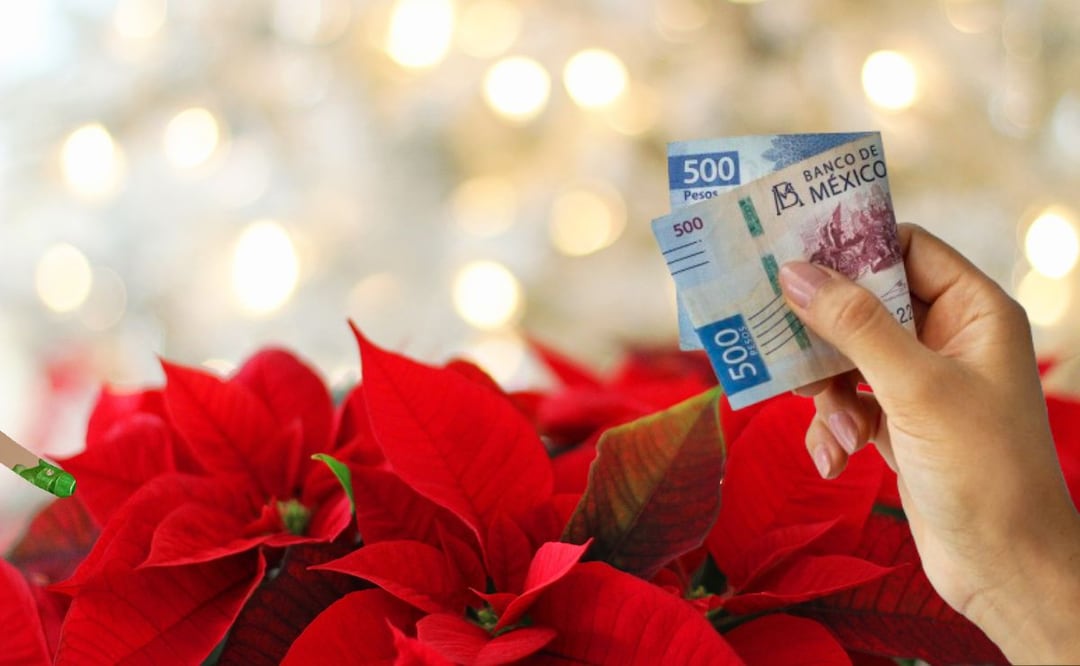 Sigue estos consejos para atraer abundancia con tu Nochebuena | Foto: Canva