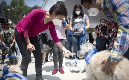 Lilia Cedillo coloca la primera piedra del Centro de Apoyo Emocional y Terapia Ocupacional BUAP