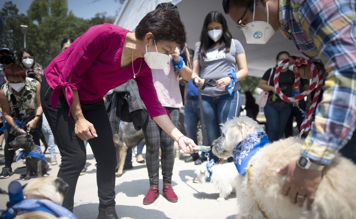 Lilia Cedillo coloca la primera piedra del Centro de Apoyo Emocional y Terapia Ocupacional BUAP