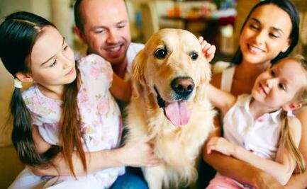 ¿Qué son las familias multiespecie?