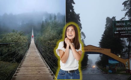 Honey, el paraíso inglés que está en medio del bosque de Puebla