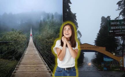 Honey, el paraíso inglés que está en medio del bosque de Puebla