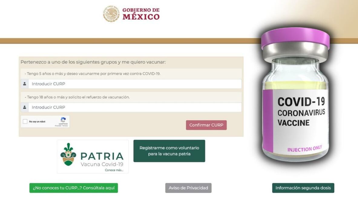 Registro vacuna Covid niños de 5 a 11 años. ¿Cómo sacar gratis tu CURP Puebla?