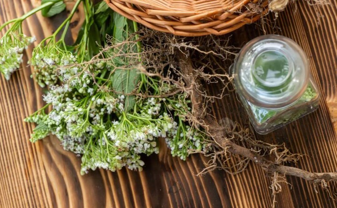 La valeriana es un producto natural con múltiples propiedades / Foto: Freepik