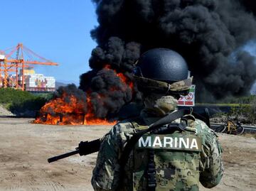 Incineran media tonelada de cocaína asegurada