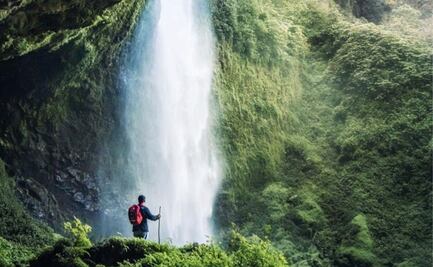 ¿Hay selva en Puebla? Así puedes llegar a la hermosa localidad de La Ceiba