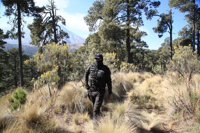 Talamontes disparan a guardabosques en Puebla; hay 3 muertos y 1 herido
