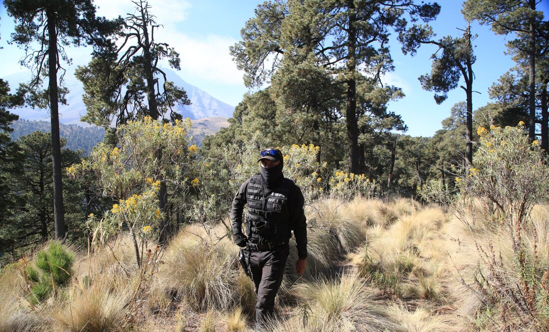 En San Andrés Hueyacatitla operan bandas de talamontes | EsImagen