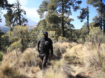 Talamontes disparan a guardabosques en Puebla; hay 3 muertos y 1 herido