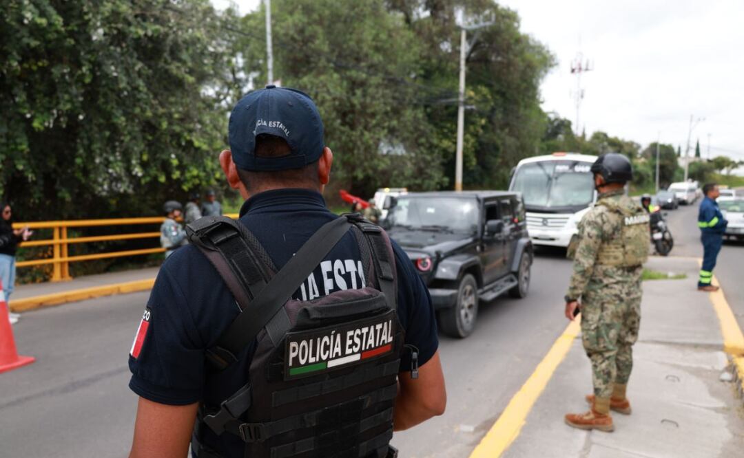 Del 10 al 15 de noviembre, las fuerzas de seguridad implementaron 290 acciones que permitieron asegurar 188 envoltorios con posible, 33 vehículos y 13 armas de fuego | Foto: SSP