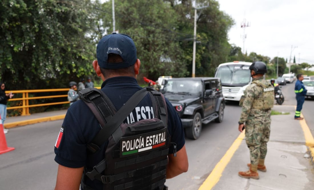 Del 10 al 15 de noviembre, las fuerzas de seguridad implementaron 290 acciones que permitieron asegurar 188 envoltorios con posible, 33 vehículos y 13 armas de fuego | Foto: SSP