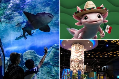 Acuario Michin celebra las Fiestas Patrias con una kermés