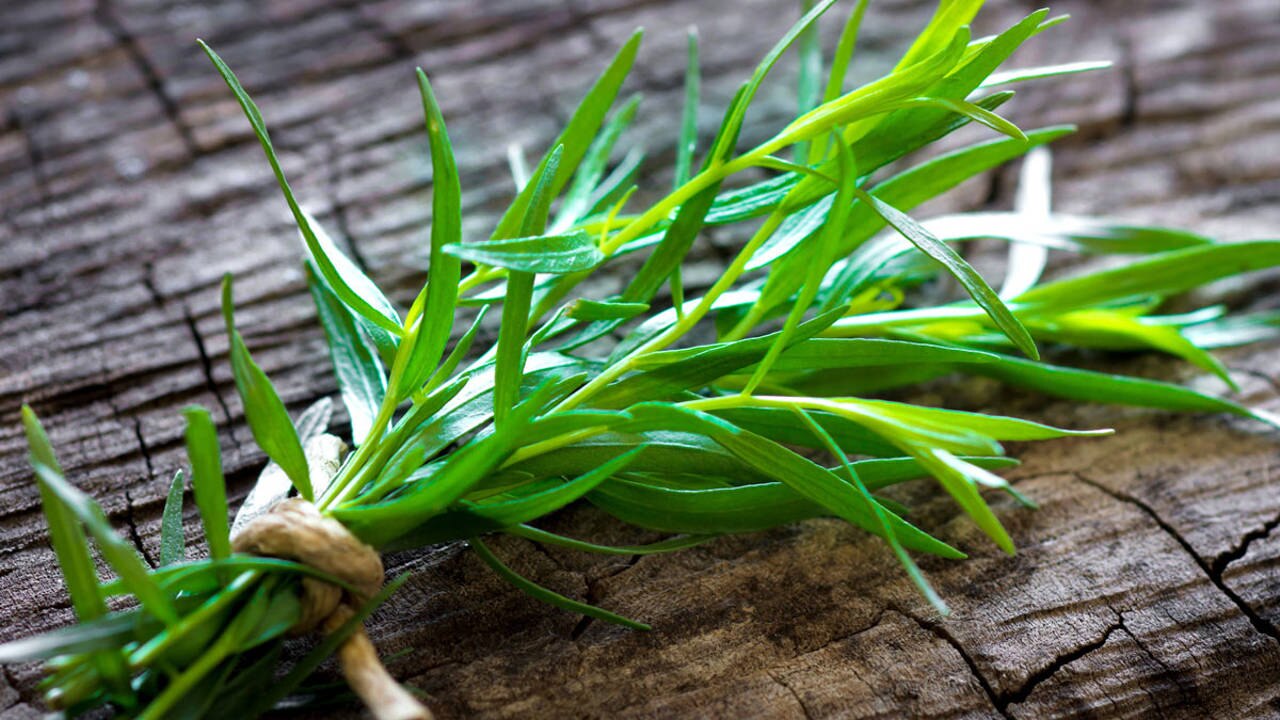 Es importante recordar que, aunque el estragón puede ofrecer beneficios digestivos, debe usarse como parte de una dieta equilibrada y no como un sustituto de tratamientos médicos para problemas digestivos graves.

Foto: Producción El Universal Puebla