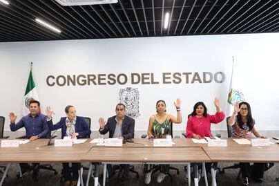 En Comisión del Congreso, aprueban exhorto para actualizar registro de deudores alimentarios