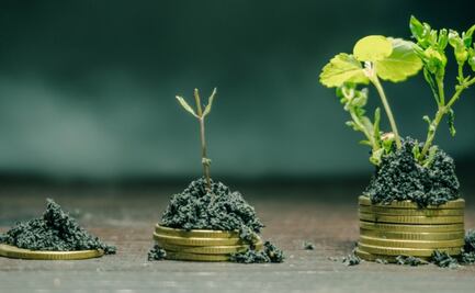 Qué es la bioeconomía y cómo se puede aplicar en Puebla