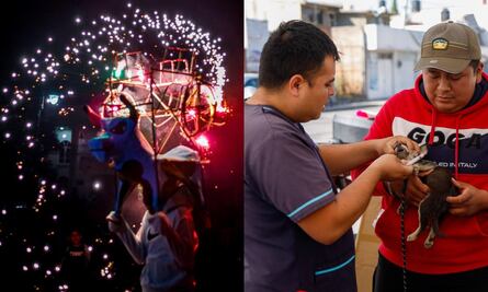 ¿Qué hacer con mi perro en caso de pirotecnia?