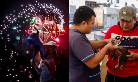 ¿Qué hacer con mi perro en caso de pirotecnia?