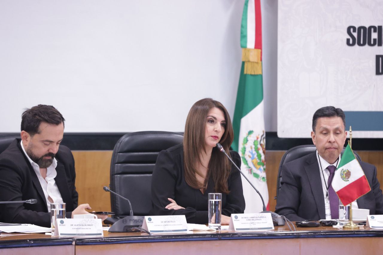 La diputada federal Maiella Gómez habló sobre la relación económica entre México y EU | Foto: Especial
