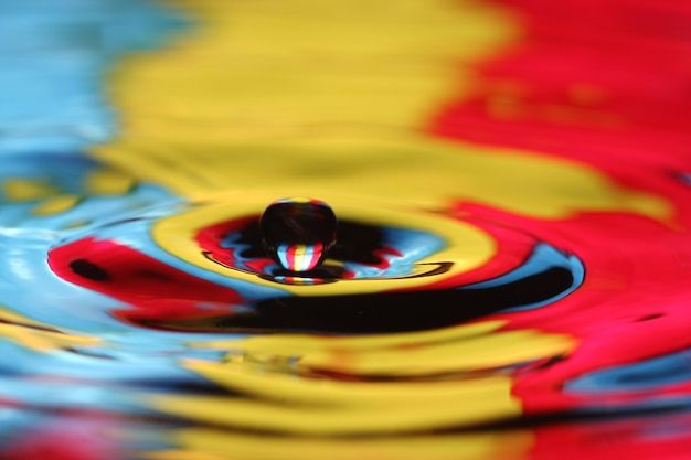Descubre la armonía en tu hogar con el Feng Shui. Fuente: Freepik.