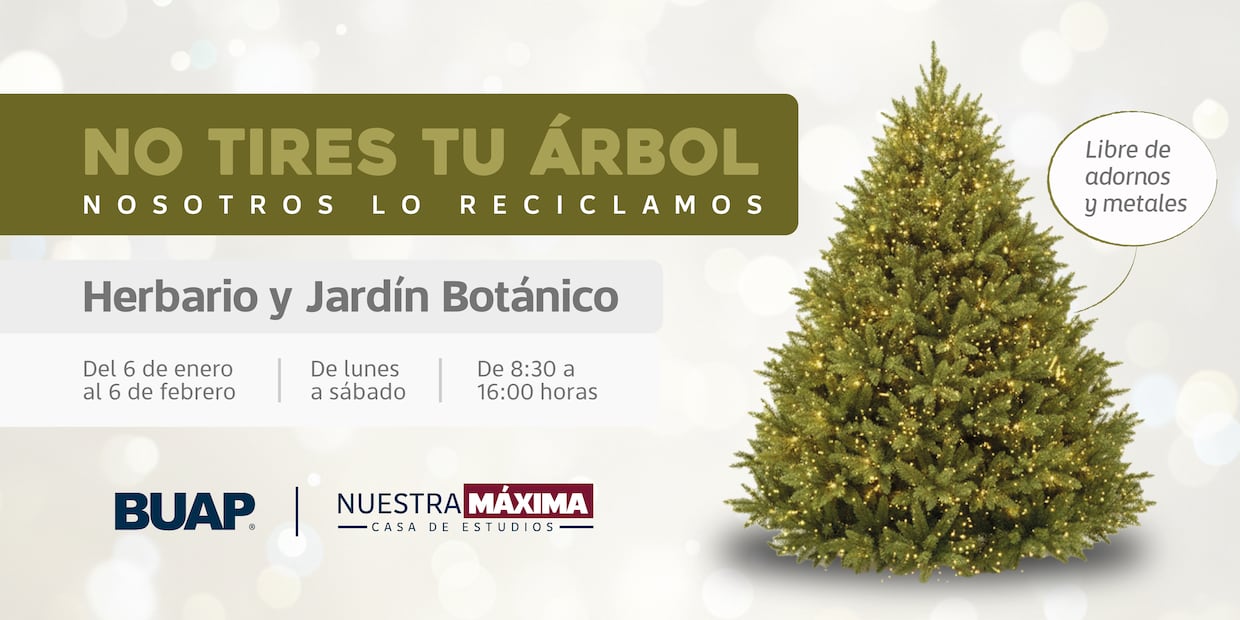 No tires tu árbol, la BUAP lo recicla | Foto: Buap