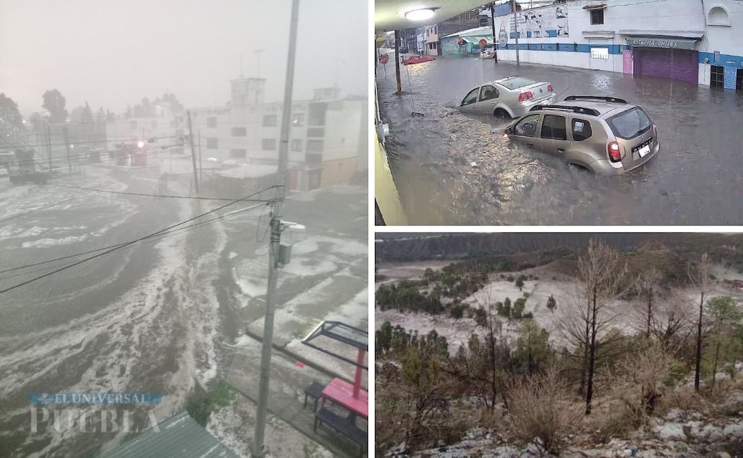 La lluvia de esta tarde en Puebla dejó varias calles inundadas, caída de postes y árboles, así como apagones | Foto: Redes Sociales