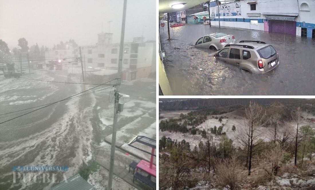 La lluvia de esta tarde en Puebla dejó varias calles inundadas, caída de postes y árboles, así como apagones | Foto: Redes Sociales