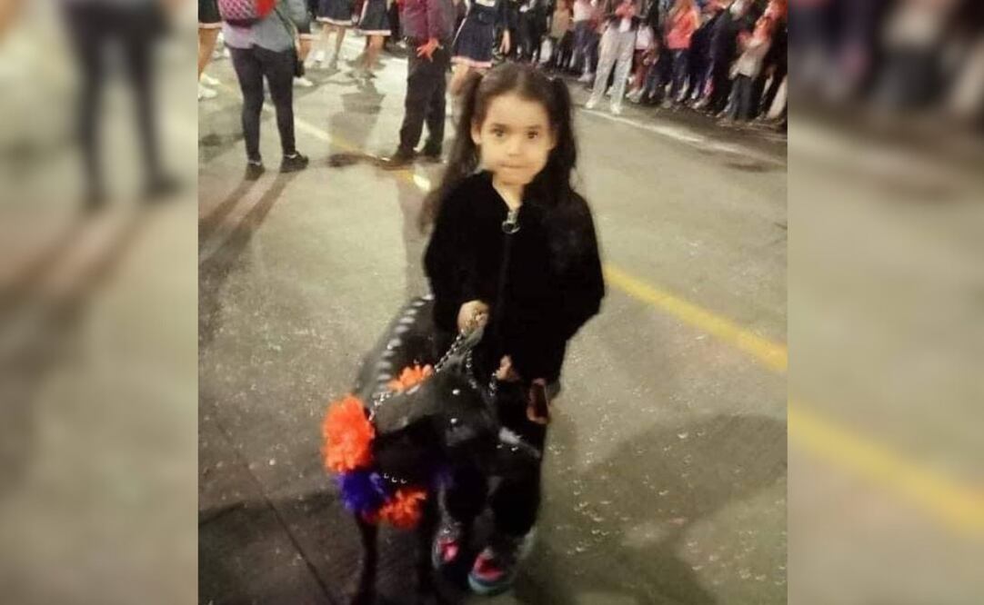 Neri Sánchez de los Santos tiene 7 años y se encuentra desaparecida | Foto: Redes Sociales